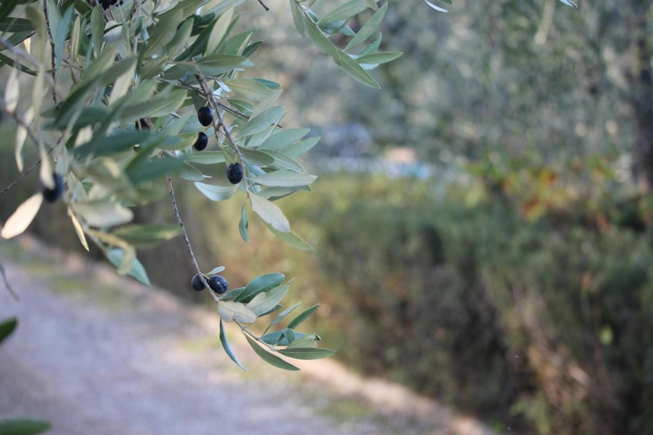 Casa Vacanze Rondini Blu Montespertoli Buitenkant foto